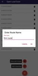 interface of enter route name